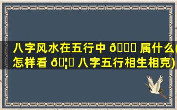 八字风水在五行中 🐘 属什么(怎样看 🦉 八字五行相生相克)